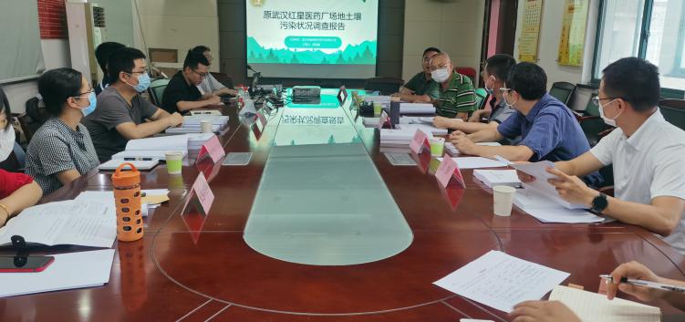 第三方环境咨询服务经典案例